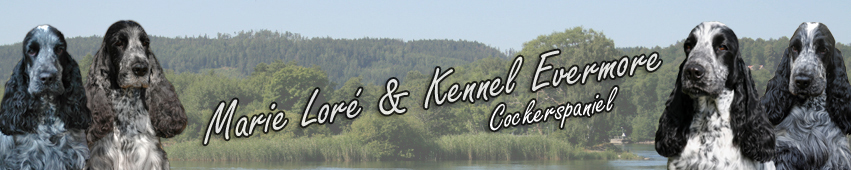 Vlkommen till Kennel Evermore & Marie Lor, vi hoppas ni kommer trivas p sidan!